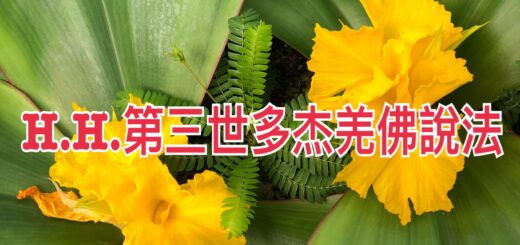 H.H.第三世多杰羌佛說法