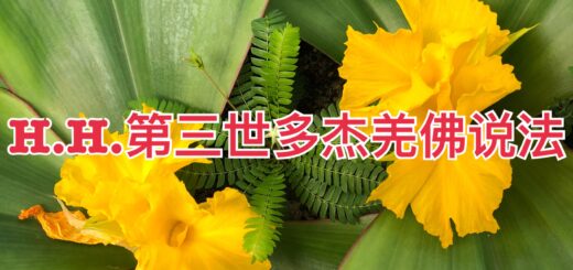 H.H.第三世多杰羌佛说法