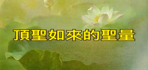 頂聖如來的聖量