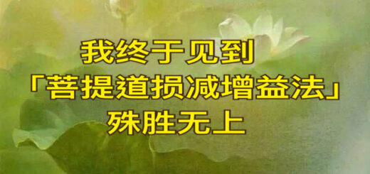 菩提道损减增益法